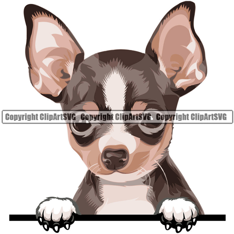 Chihuahua Dog Breed Peeking Color ClipArt SVG
