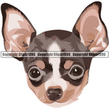 Chihuahua Dog Breed Head Color ClipArt SVG