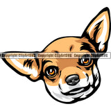 Chihuahua Dog Breed Head Color ClipArt SVG