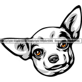 Chihuahua Dog Breed Head Color ClipArt SVG