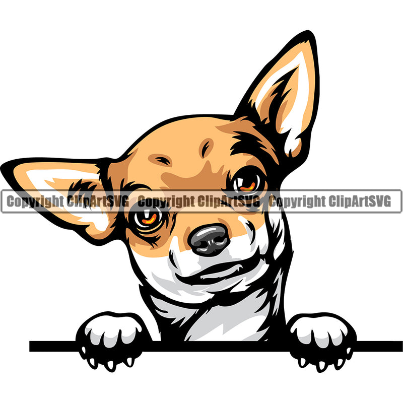 Chihuahua Dog Breed Peeking Color ClipArt SVG