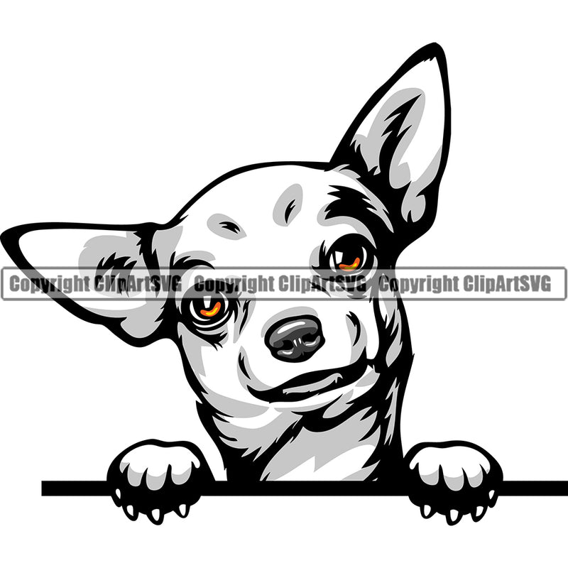 Chihuahua Dog Breed Peeking Color ClipArt SVG