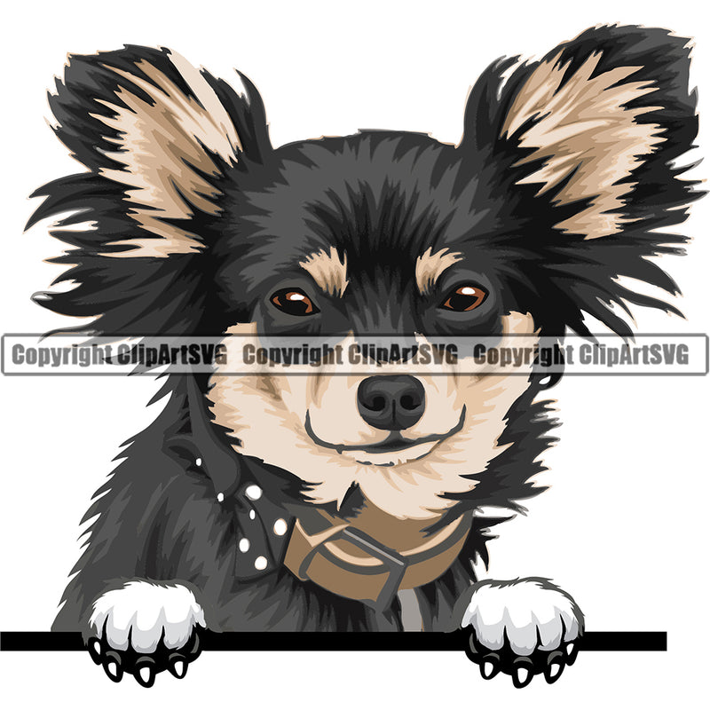 Chihuahua Dog Breed Peeking Color ClipArt SVG