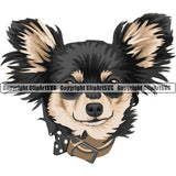 Chihuahua Dog Breed Head Color ClipArt SVG