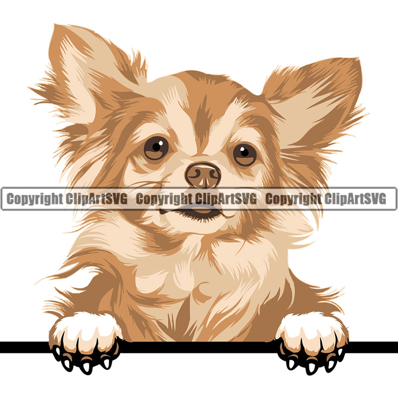 Chihuahua Dog Breed Peeking Color ClipArt SVG
