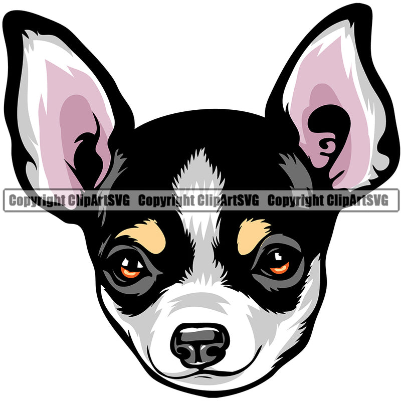 Chihuahua Dog Breed Head Color ClipArt SVG