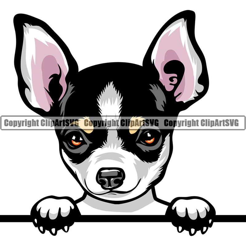 Chihuahua Dog Breed Peeking Color ClipArt SVG