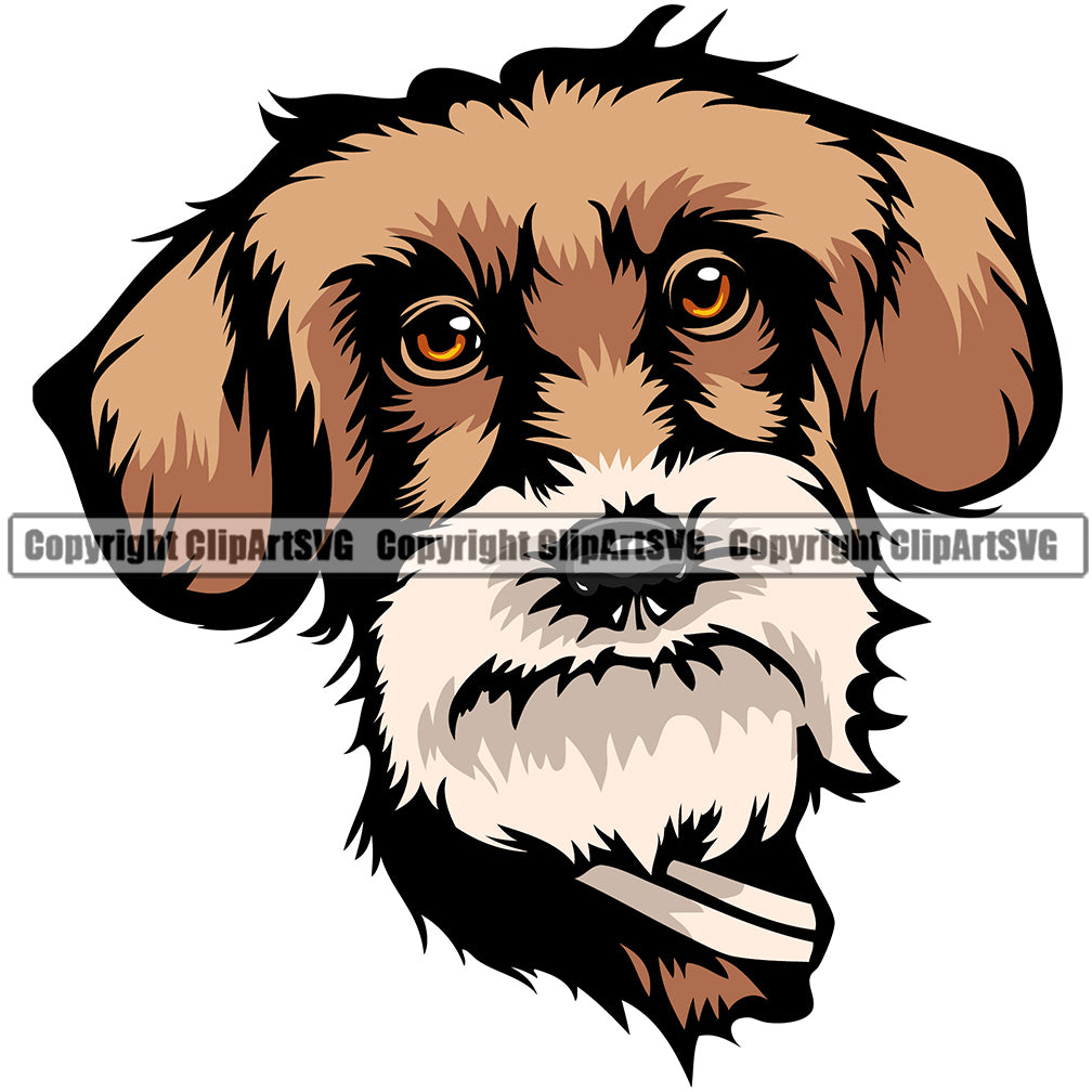 Dachshund Dog Breed Head Face ClipArt SVG