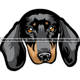 Dachshund Dog Breed Head Color ClipArt SVG