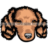 Dachshund Dog Breed Head Color ClipArt SVG