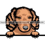Dachshund Peeking Dog Breed ClipArt SVG
