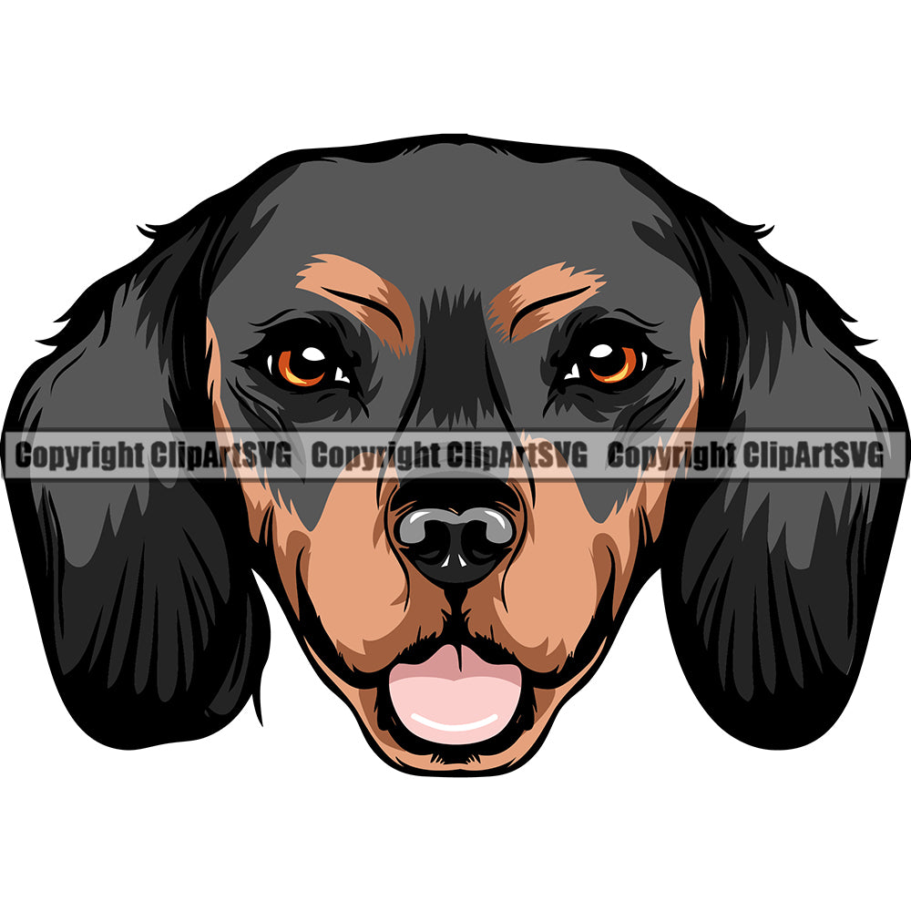 Dachshund Dog Breed Head Color ClipArt SVG