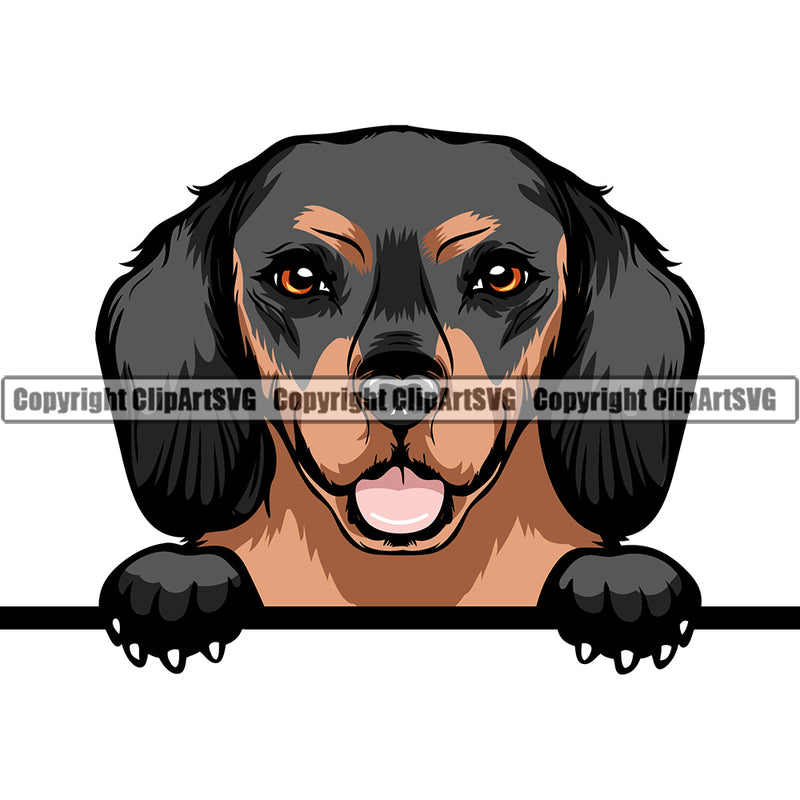 Dachshund Peeking Dog Breed ClipArt SVG