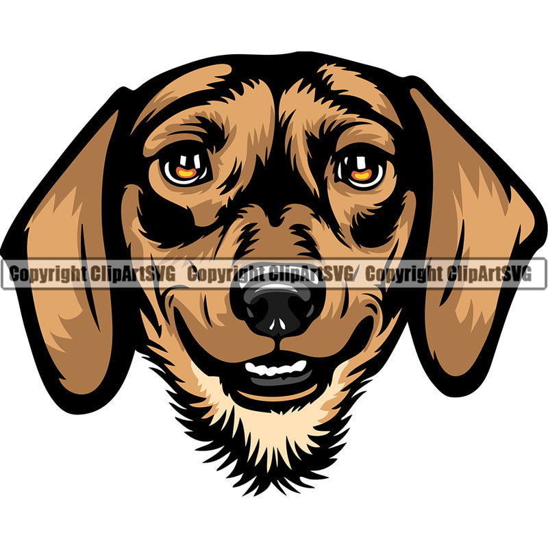 Dachshund Dog Breed Head Color ClipArt SVG