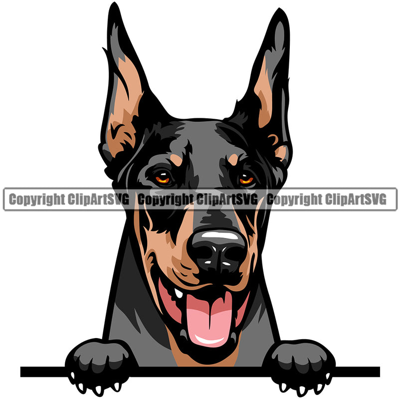 Doberman Peeking Dog Breed ClipArt SVG