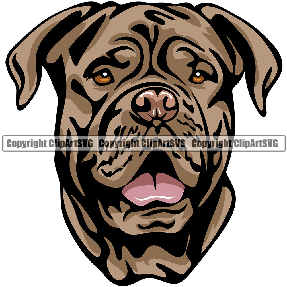 Dog Douge De Bordeaux Breed Head Color ClipArt SVG