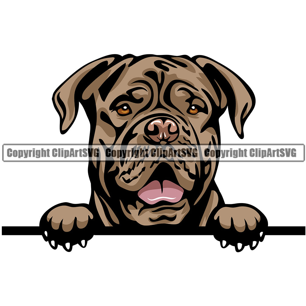 Dog Douge De Bordeaux Breed Head Color Peeking ClipArt SVG