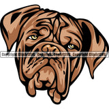 Dog Douge De Bordeaux Breed Head Color ClipArt SVG