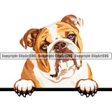 English Bulldog Dog Breed Head Color ClipArt SVG