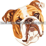 English Bulldog Dog Breed Head Color ClipArt SVG