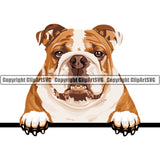 English Bulldog Dog Breed Head Color ClipArt SVG