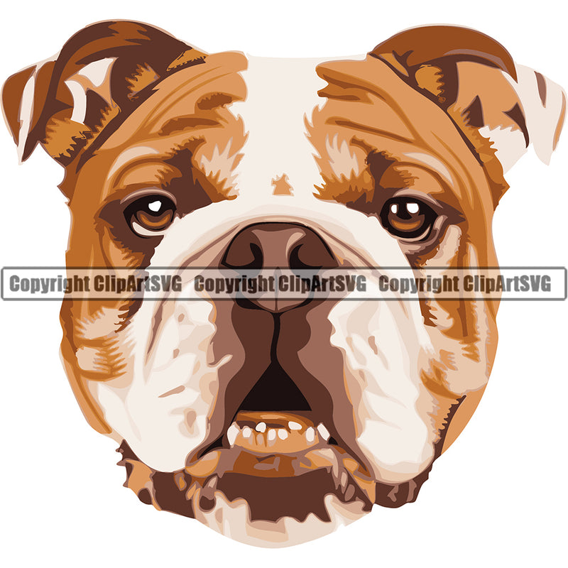English Bulldog Dog Breed Head Color ClipArt SVG