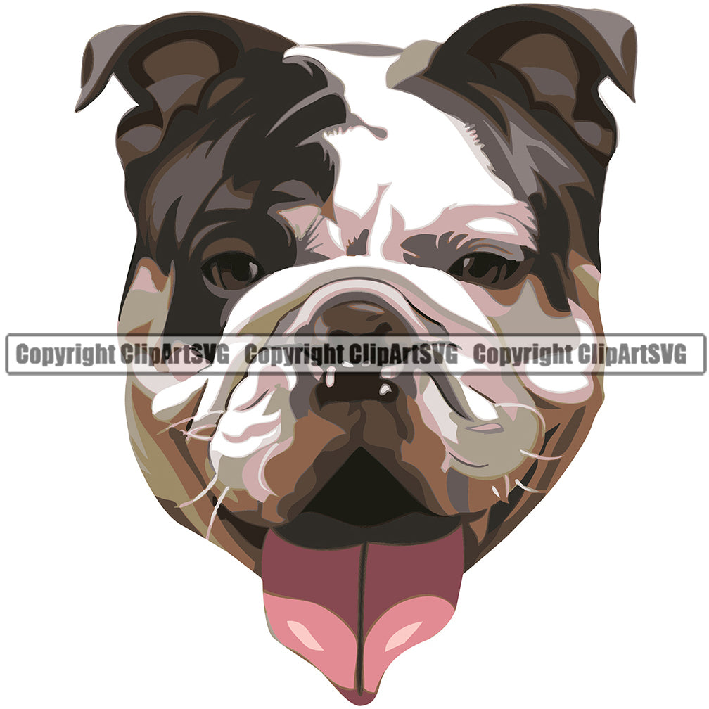 English Bulldog Dog Breed Head Color ClipArt SVG