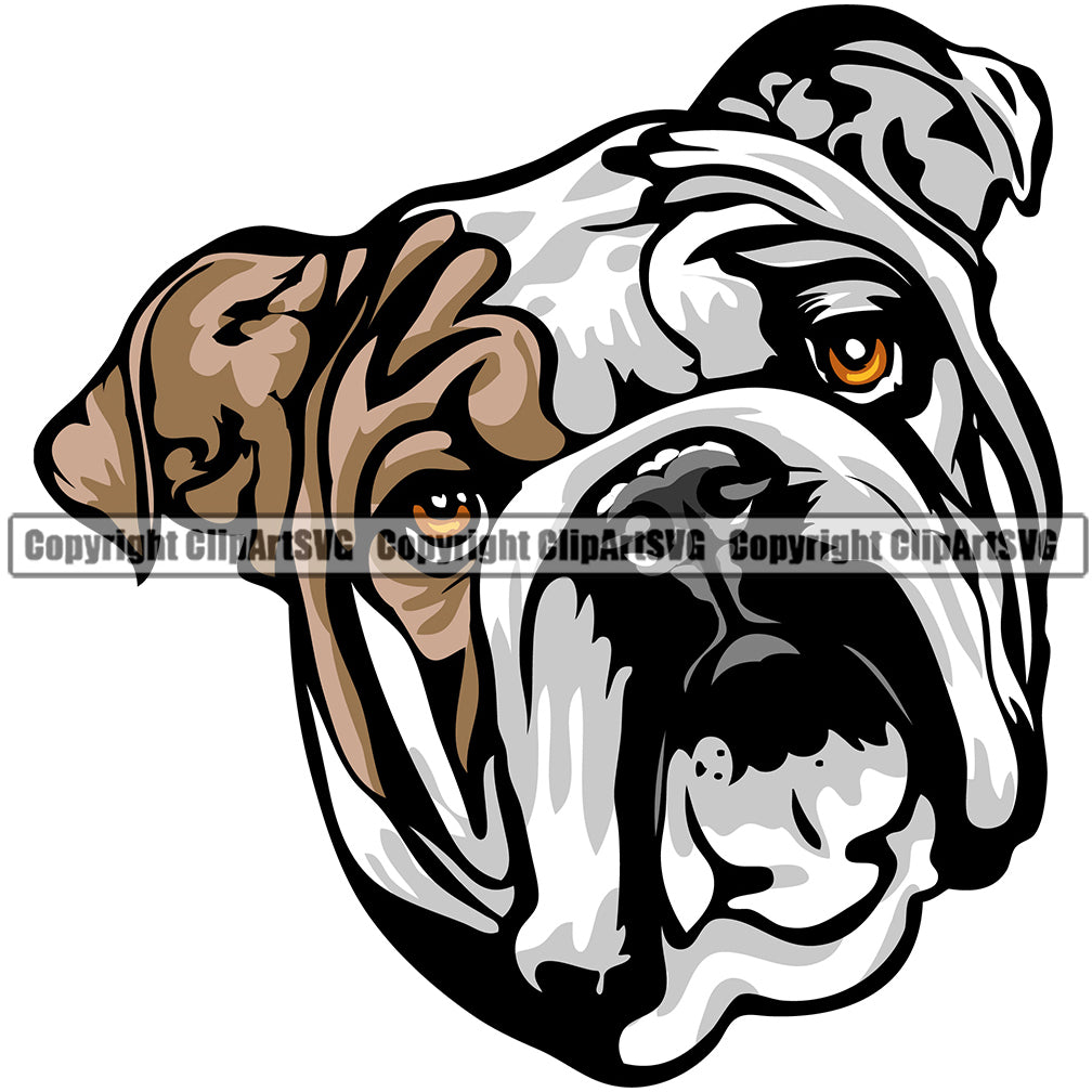 English Bulldog Dog Breed Head Color ClipArt SVG