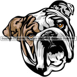 English Bulldog Dog Breed Head Color ClipArt SVG