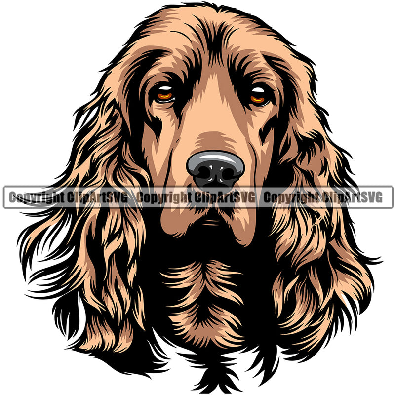 English Cocker Spaniel Dog Breed Head Color ClipArt SVG