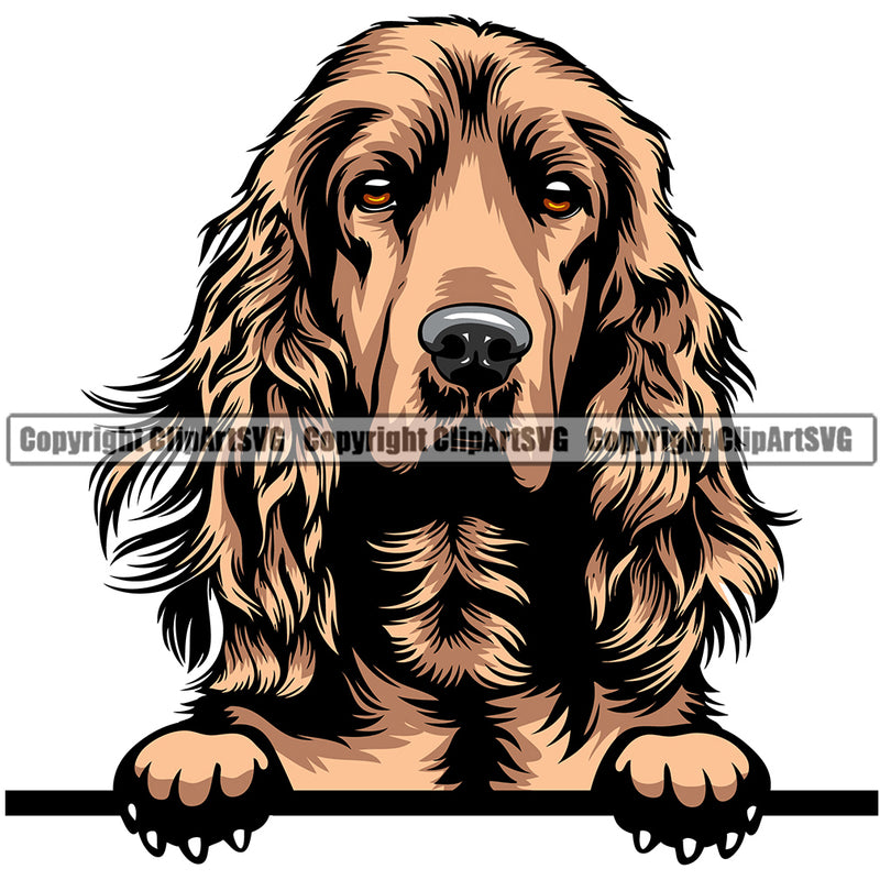 English Cocker Spaniel Dog Breed Peeking Color ClipArt SVG