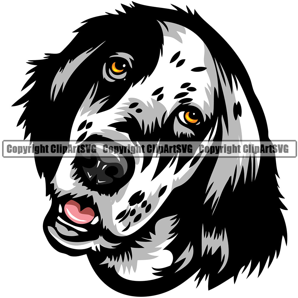 English Setter Dog Breed Head Face ClipArt SVG
