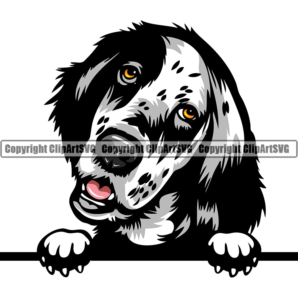English Setter Peeking Dog Breed ClipArt SVG