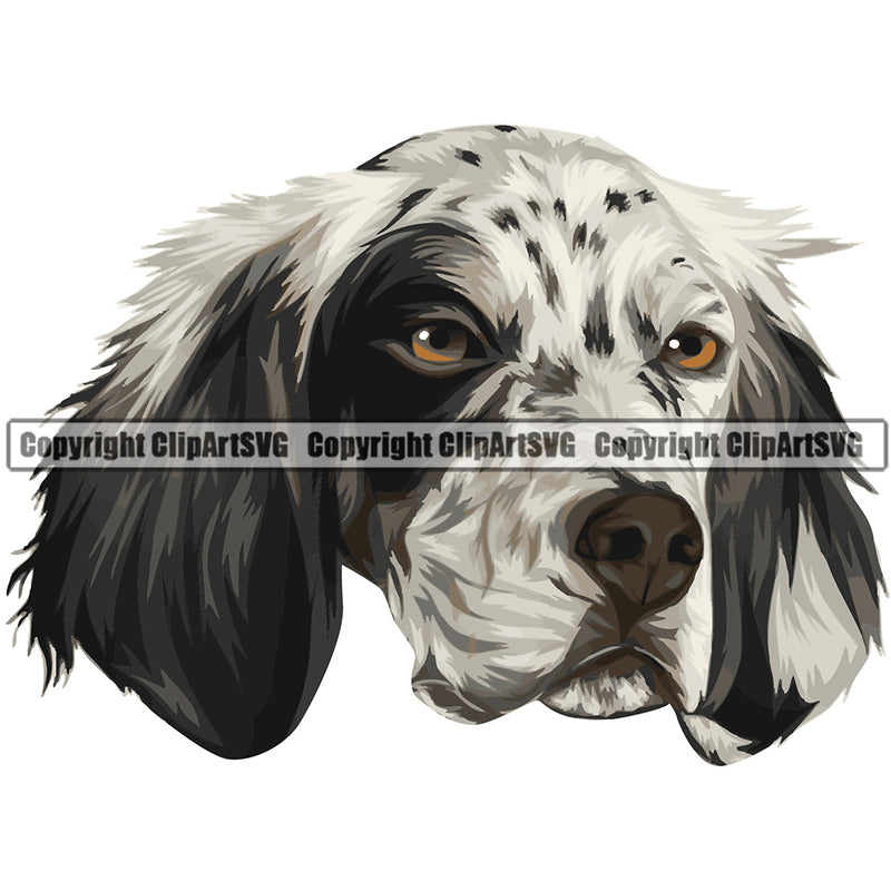 English Setter Dog Breed Head Face ClipArt SVG