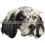 English Setter Dog Breed Head Face ClipArt SVG