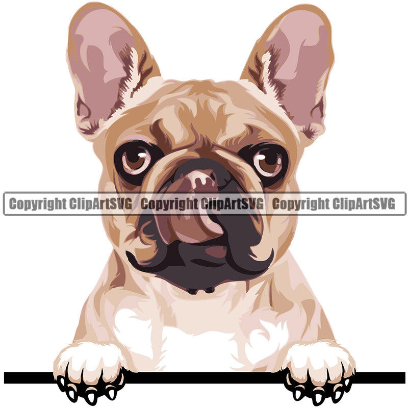 French Bulldog Dog Breed Peeking Color ClipArt SVG