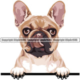 French Bulldog Dog Breed Peeking Color ClipArt SVG