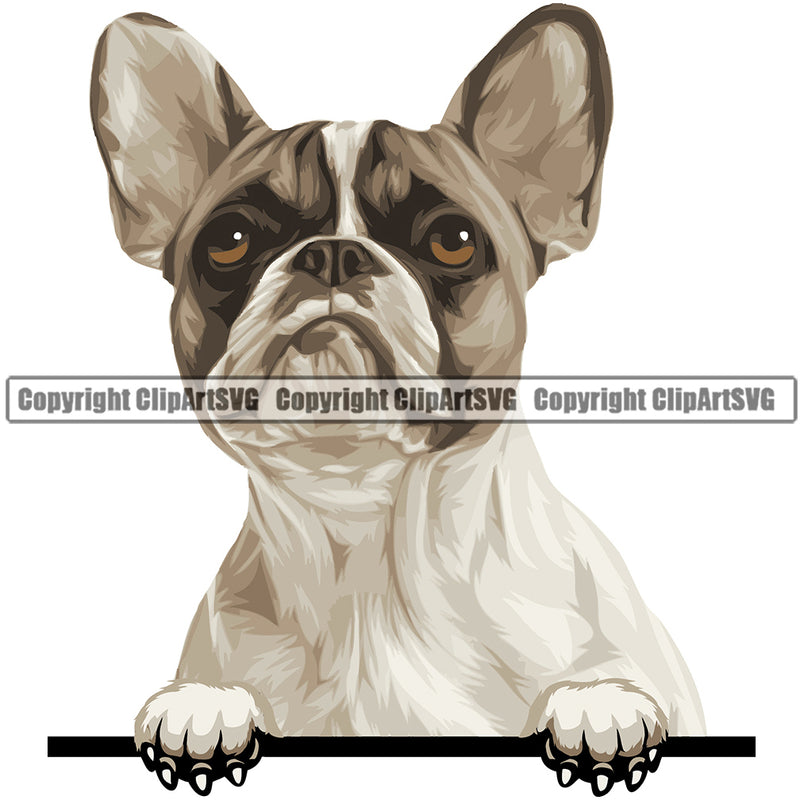 French Bulldog Dog Breed Peeking Color ClipArt SVG