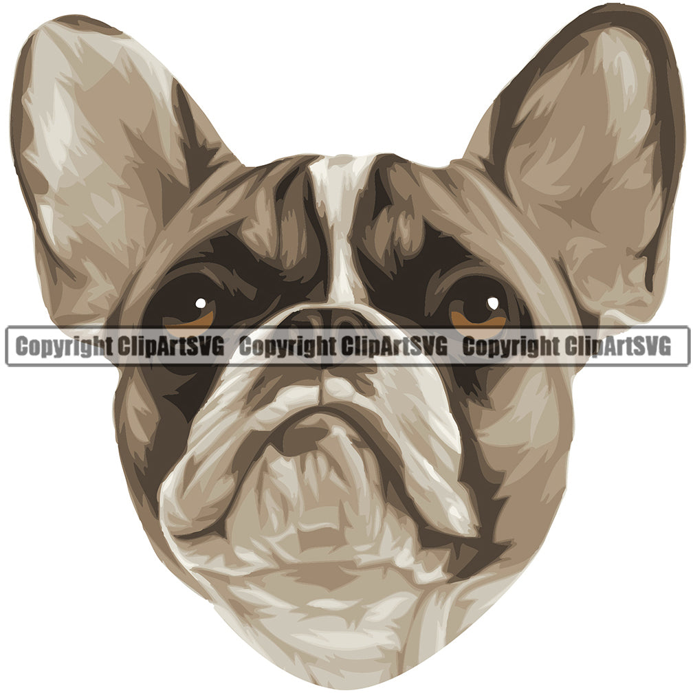 French Bulldog Dog Breed Head Color ClipArt SVG