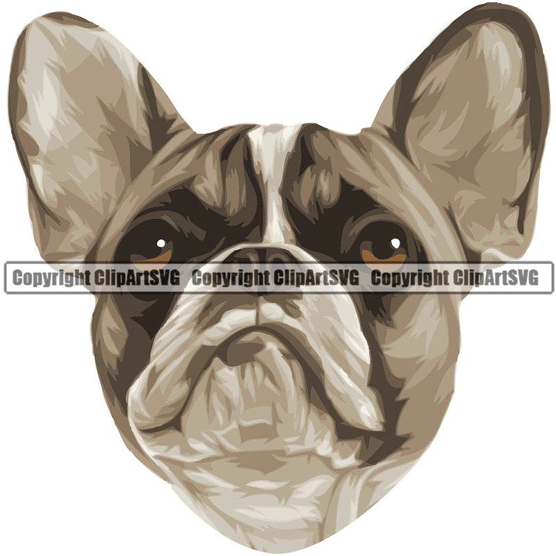 French Bulldog Dog Breed Head Color ClipArt SVG