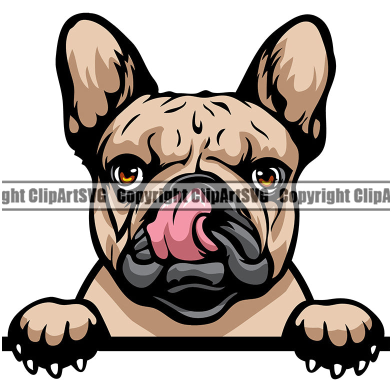 French Bulldog Dog Breed Peeking Color ClipArt SVG