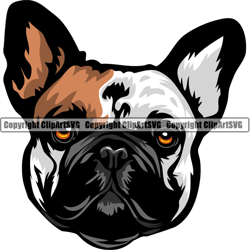 French Bulldog Dog Breed Head Color ClipArt SVG