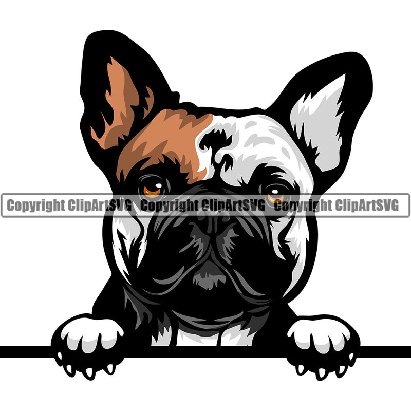 French Bulldog Dog Breed Peeking Color ClipArt SVG