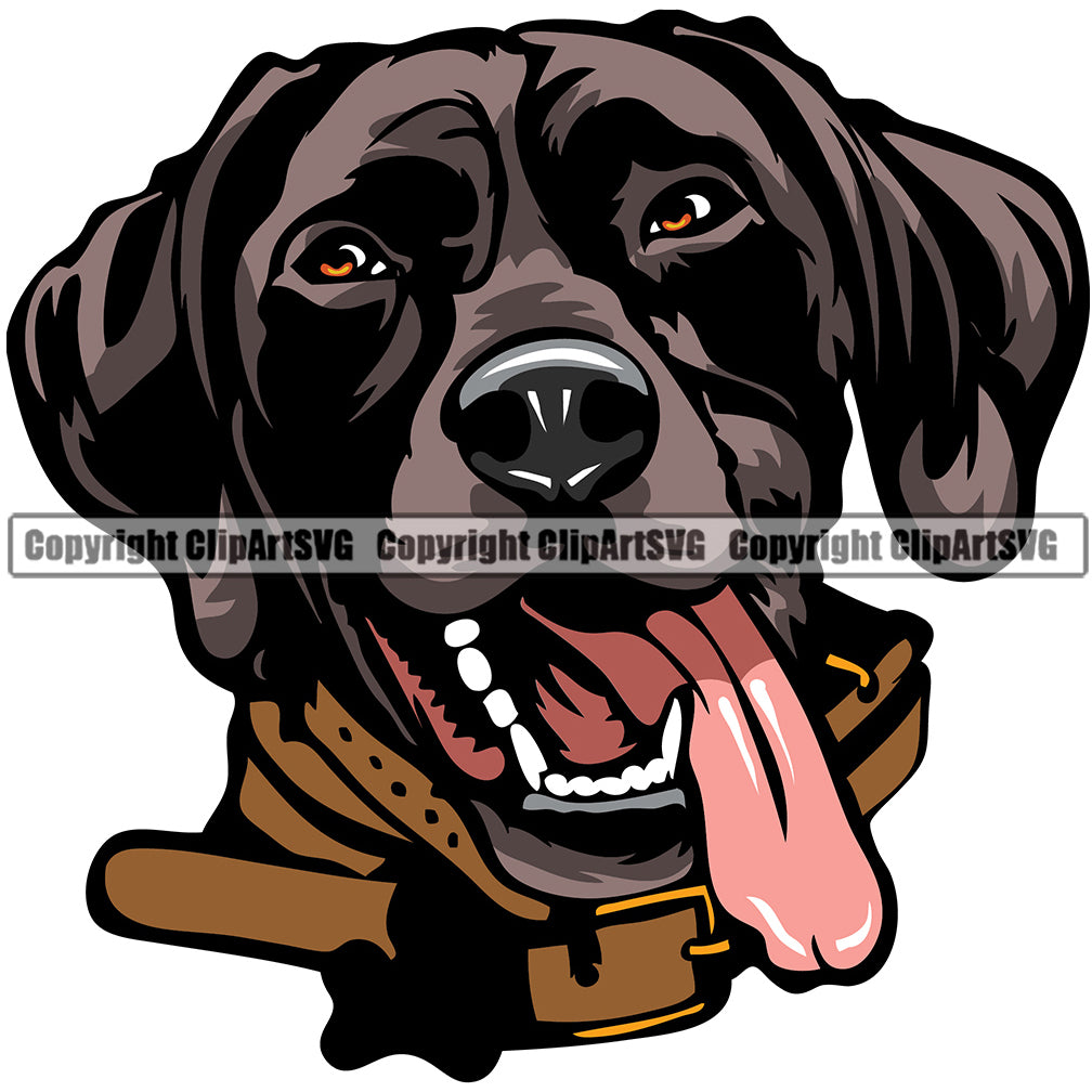 German Shorthaired Pointer Dog Breed Head Face ClipArt SVG