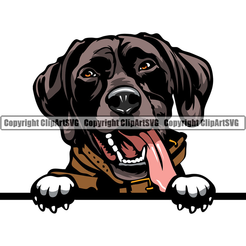 German Shorthaired Pointer Peeking Dog Breed ClipArt SVG