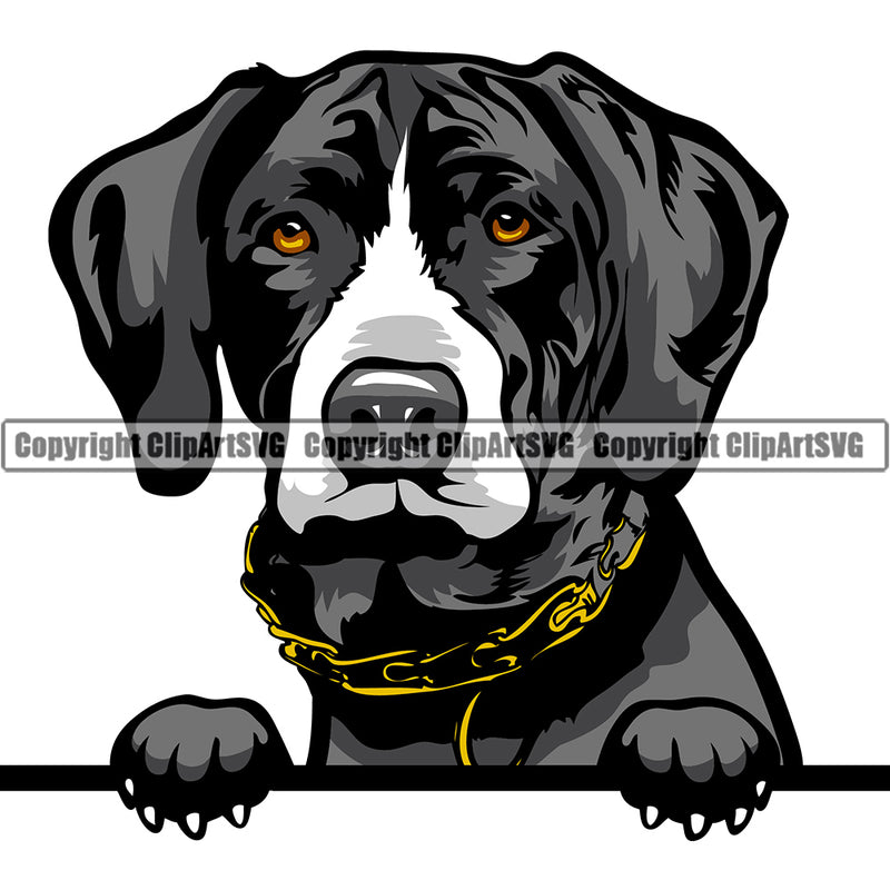 German Shorthaired Pointer Peeking Dog Breed ClipArt SVG