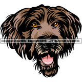 German Wirehaired Pointer Dog Breed Head Face ClipArt SVG