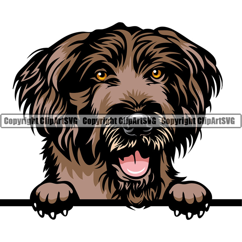 German Wirehaired Pointer Peeking Dog Breed ClipArt SVG