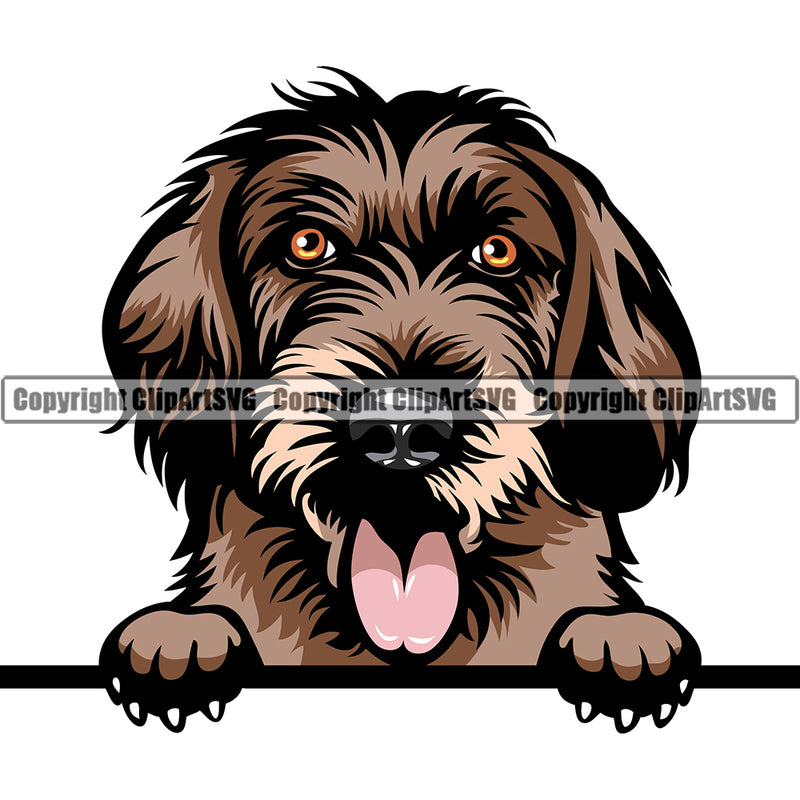 German Wirehaired Pointer Peeking Dog Breed ClipArt SVG