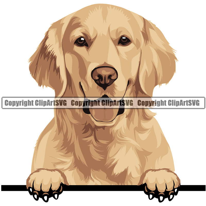 Golden Retriever Dog Breed Peeking Color ClipArt SVG